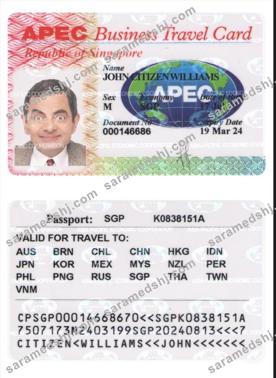 SINGAPORE business travel card